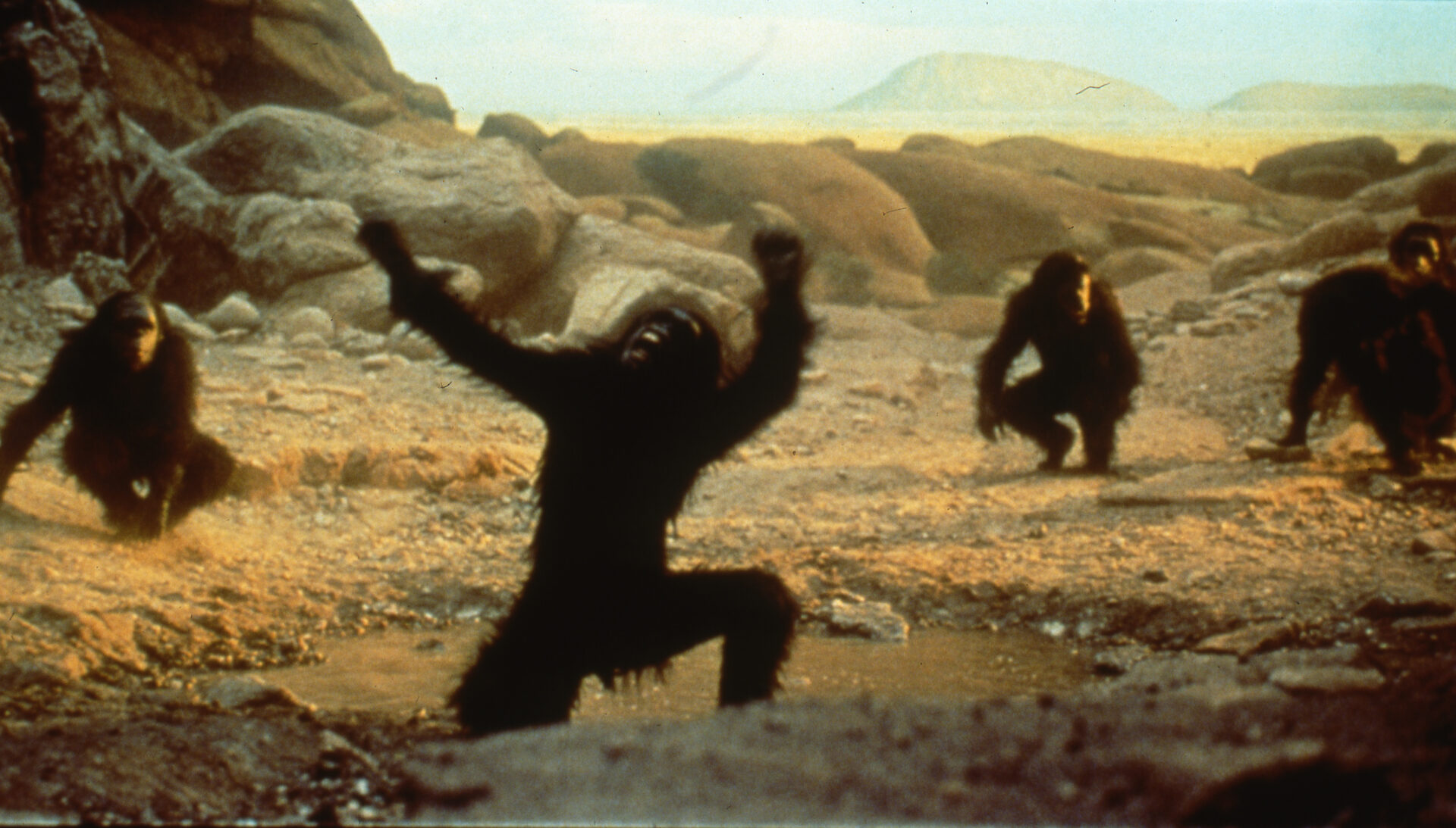 2001 a space odyssey 18 Kubrick