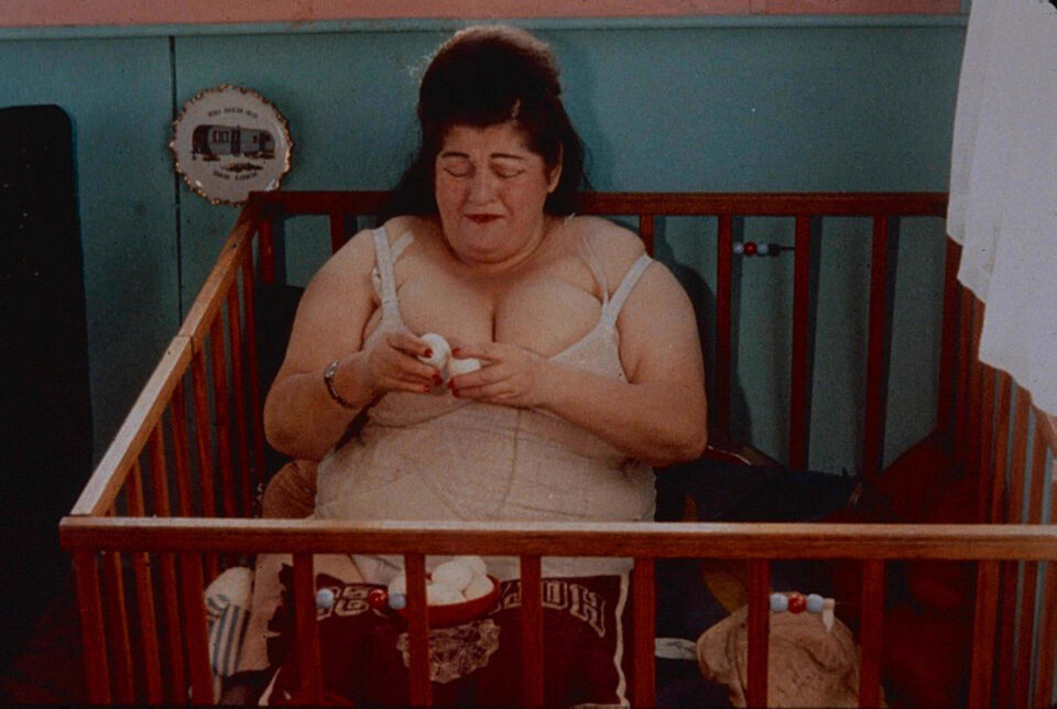 Pink flamingos 14 dias waters