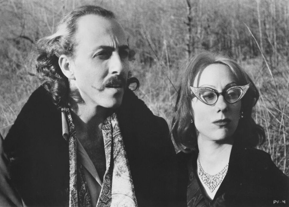 Pink flamingos 2 waters