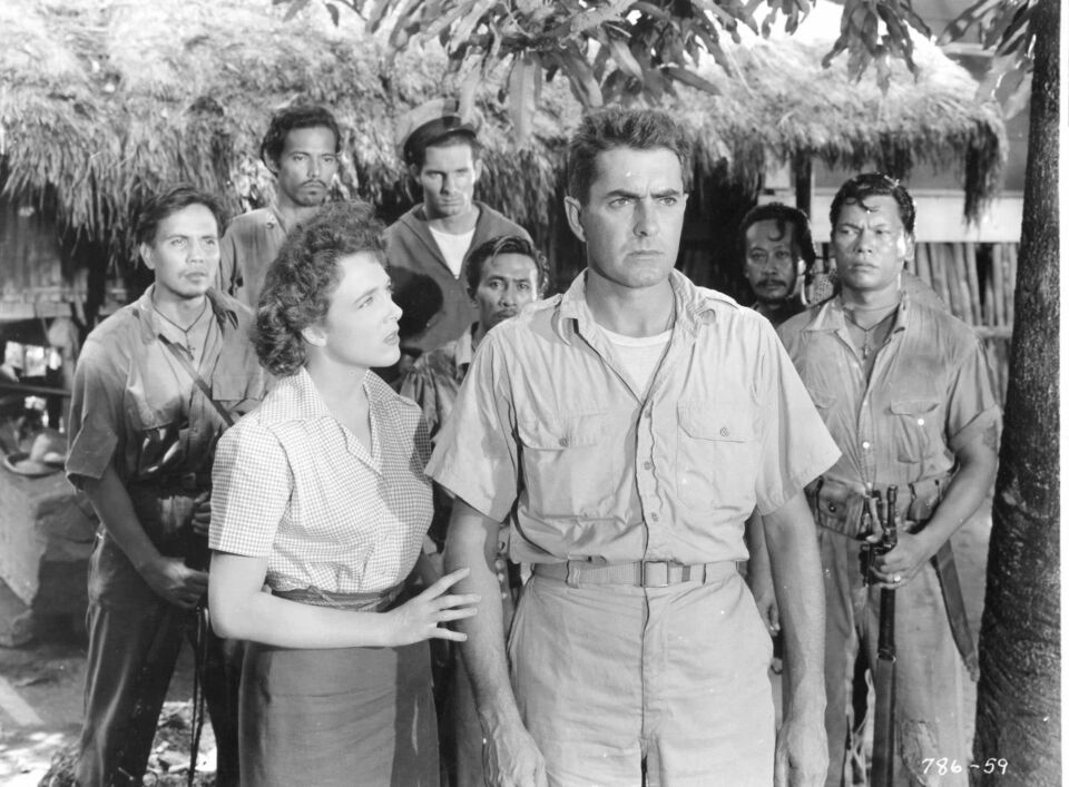 American guerrilla in the philippines 11