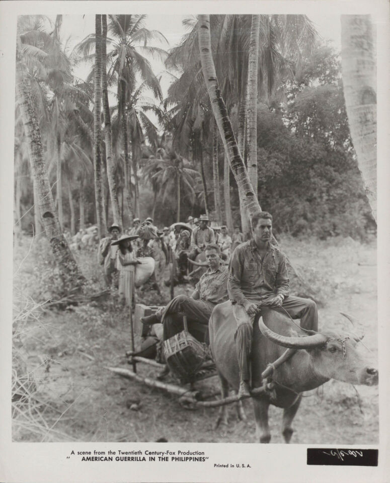 American guerrilla in the philippines 4