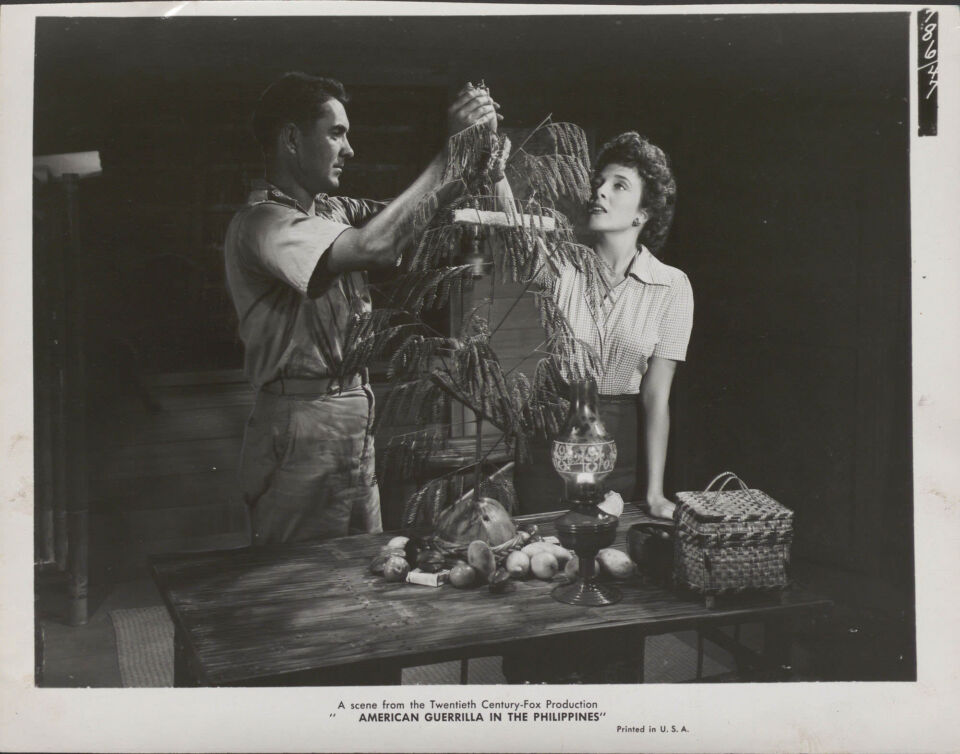 American guerrilla in the philippines 6