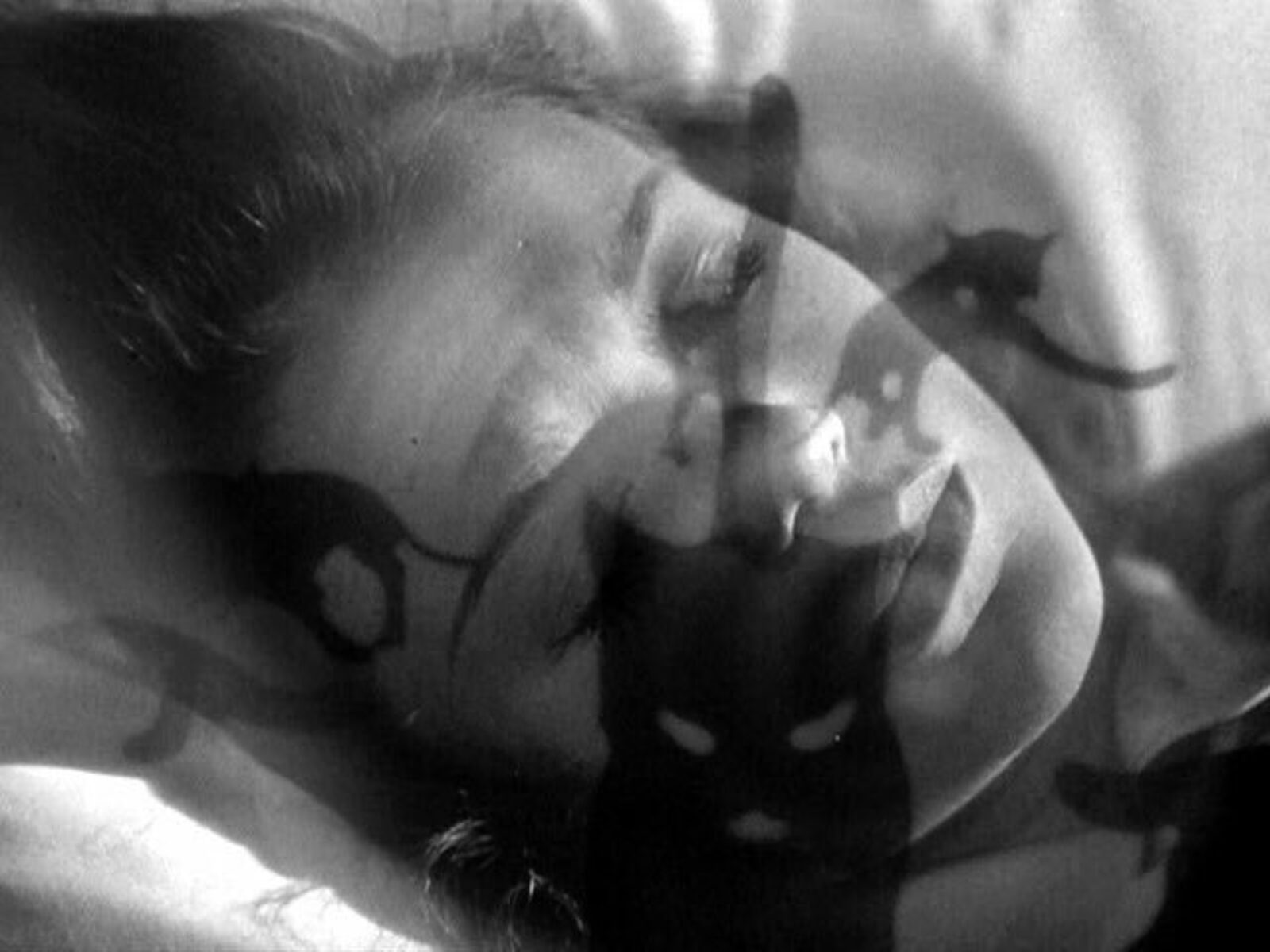 Cat People