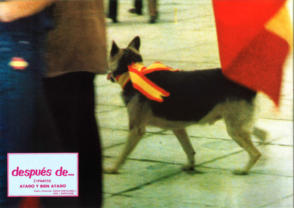 DESPUES DE PARTE 2 ATADO Y BIEN ATADO LOBBYCARD 03