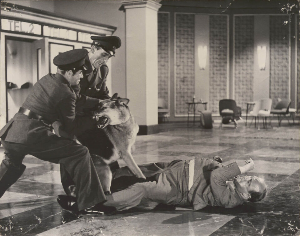 Die tausend augen des dr mabuse 20