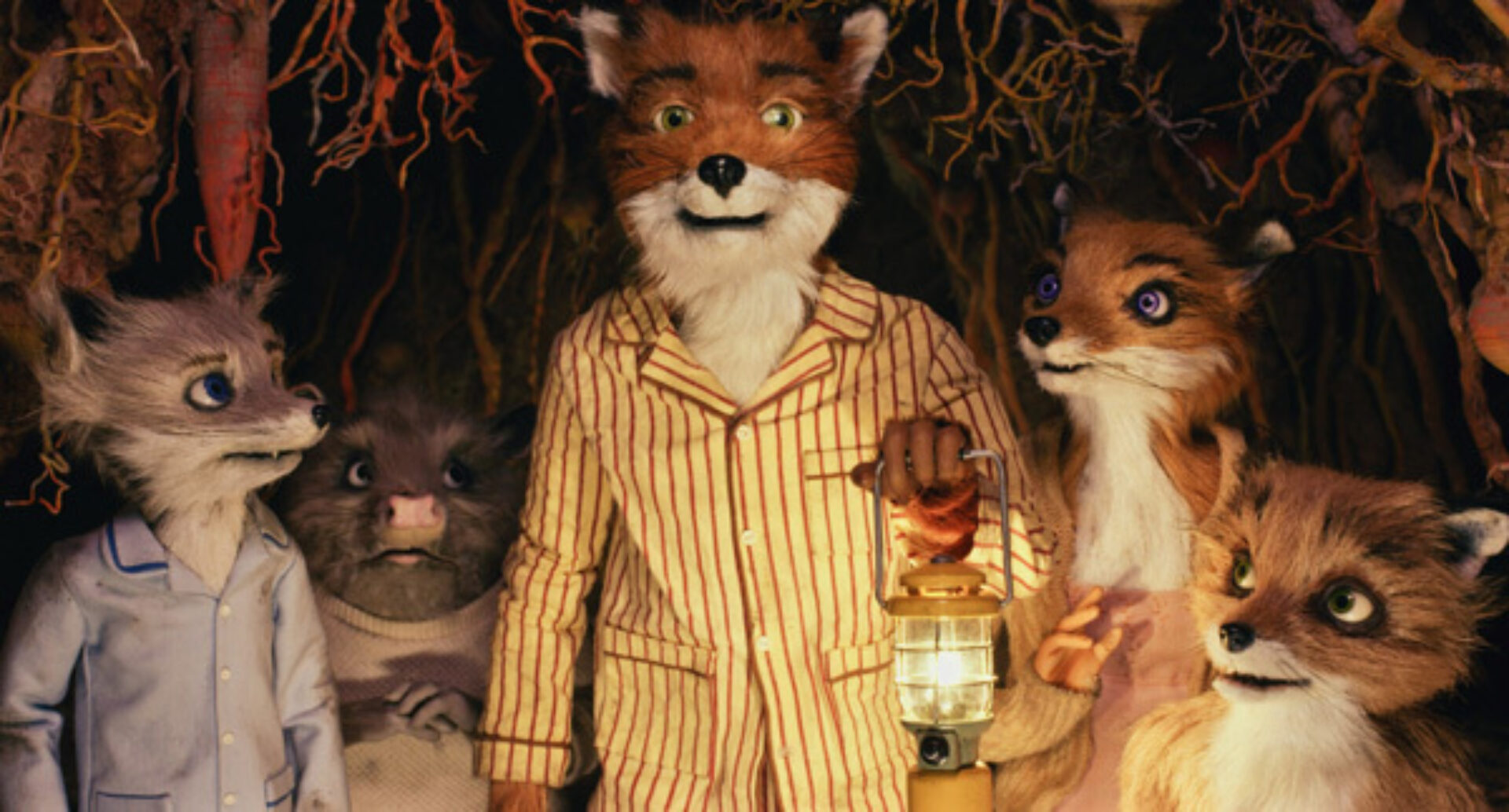 Fantastic mr fox 2 Anderson