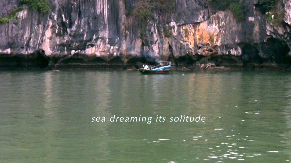 9 FVN sea dreaming its solitute
