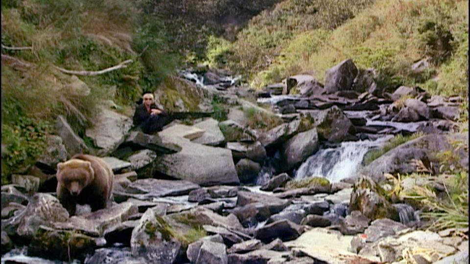 Grizzly man 3