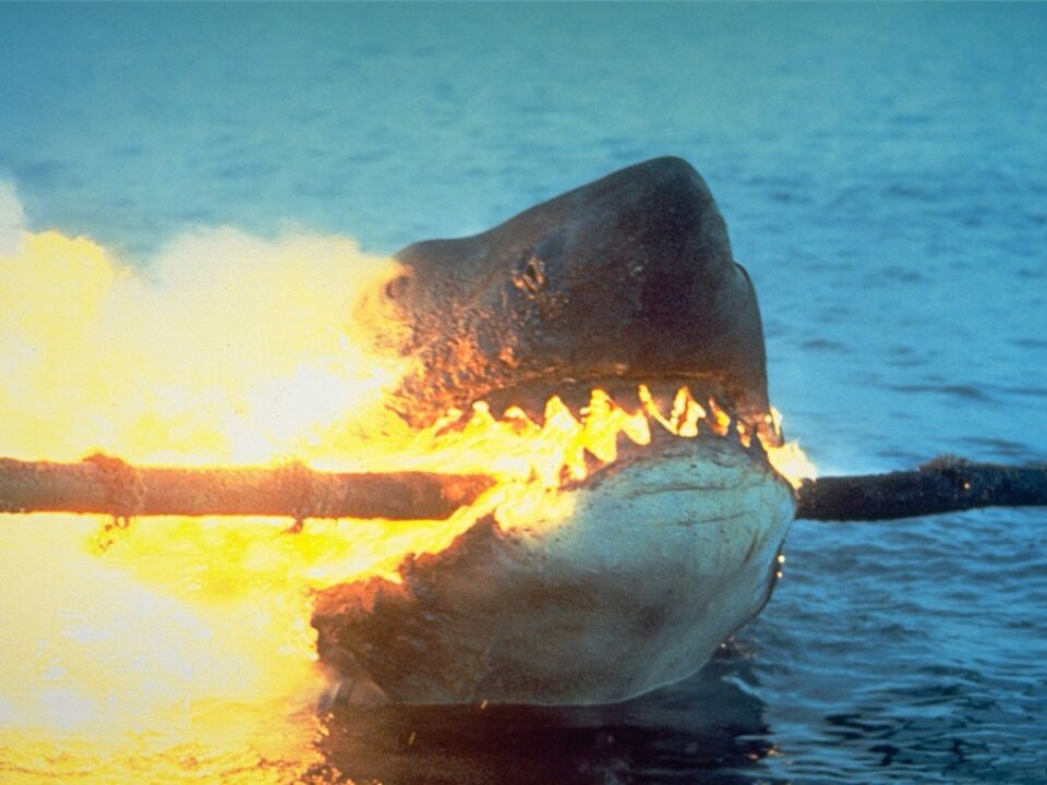 Jaws 22