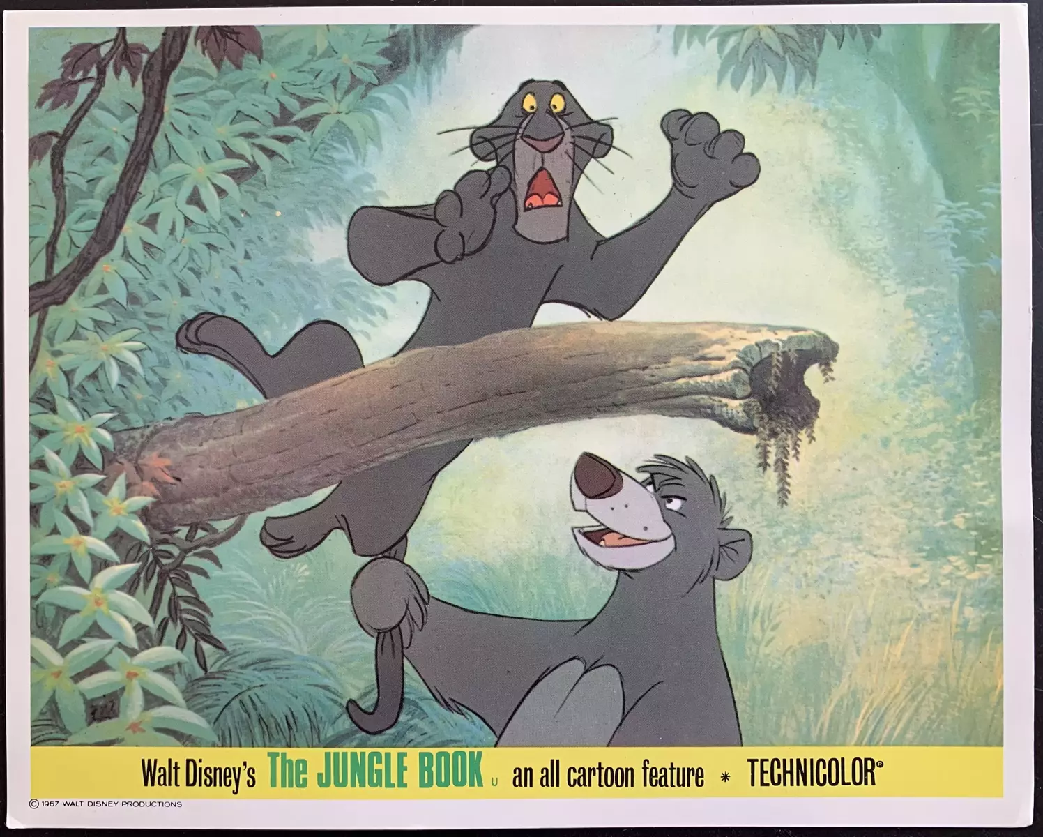 The Jungle Book jpg