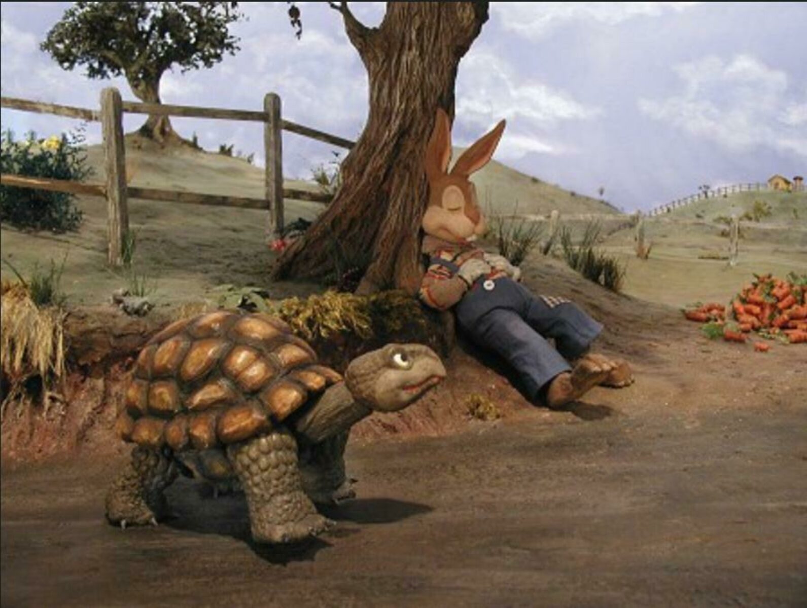Tortoi