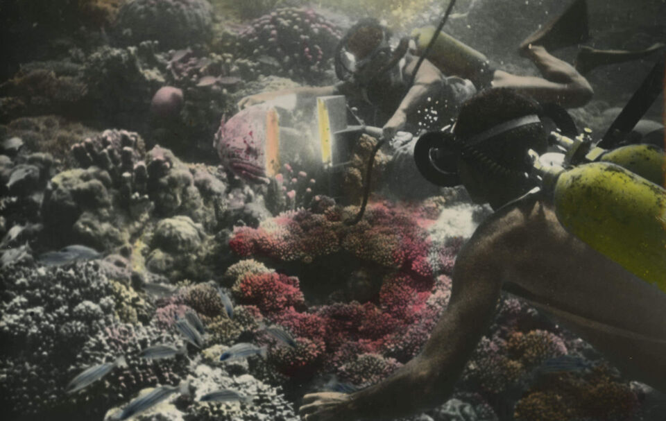 Le monde du silence 7