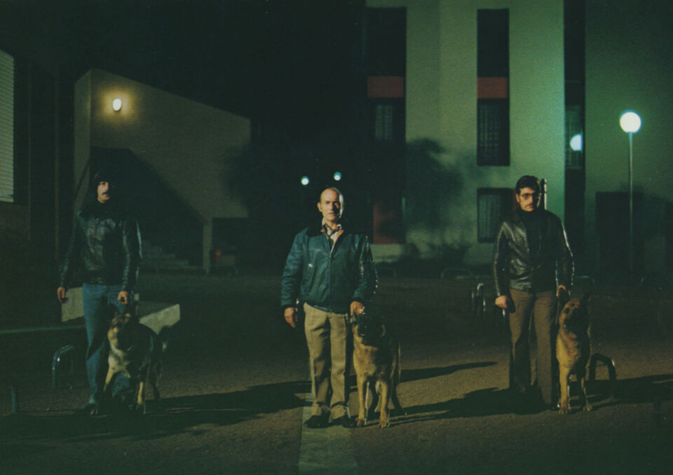 Les chiens 3