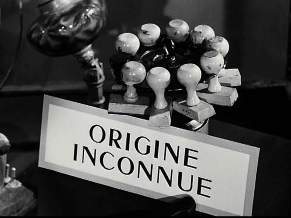 Les statues meurent aussi 5