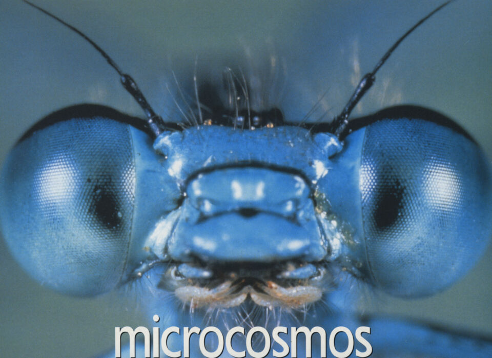 Microcosmos 9 Nuridsany Perennou
