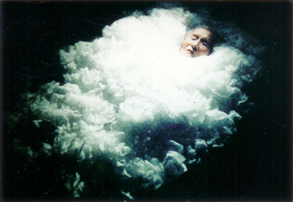 P2 2 Sleeping Flowers