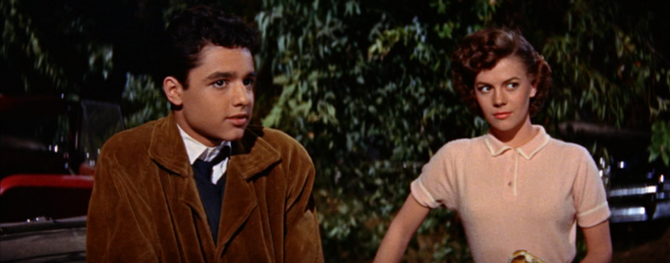 Rebel Without a Cause5