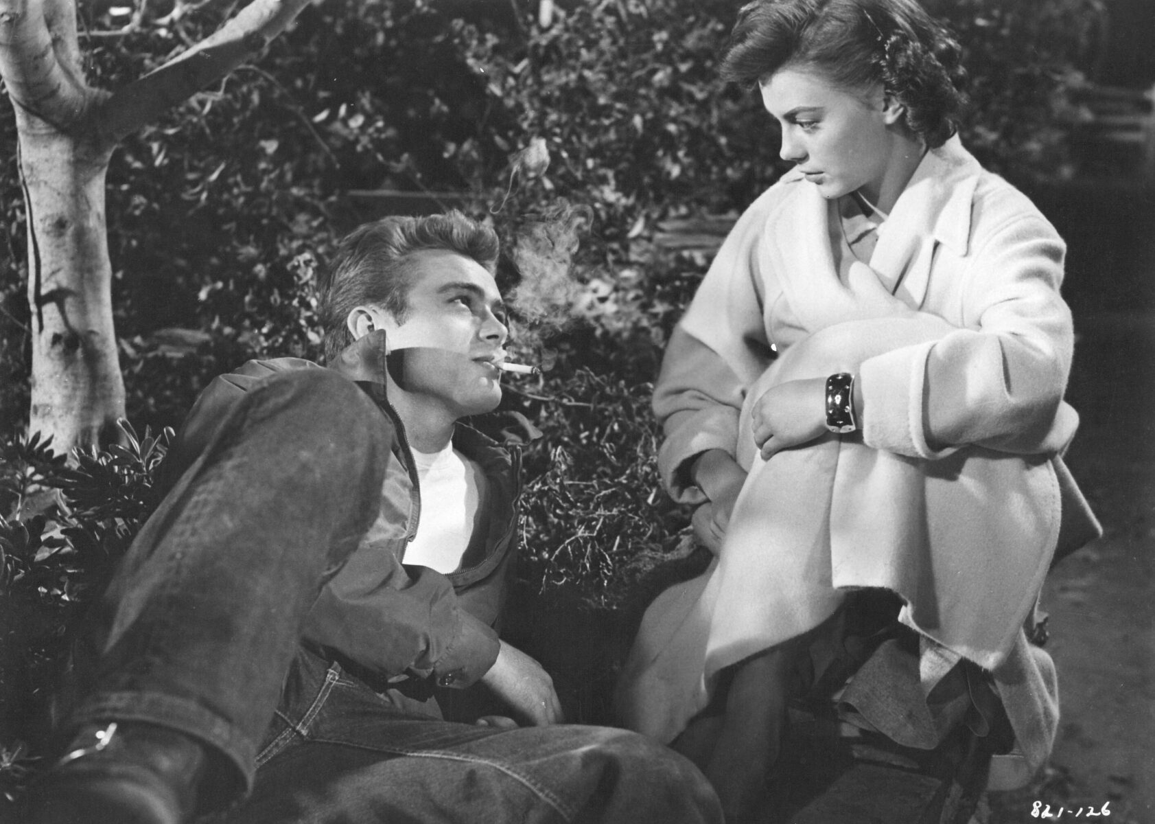 Rebel without a cause 1 Ray