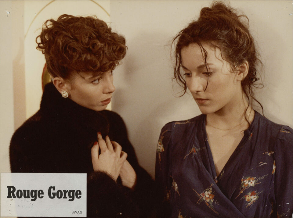 Rouge gorge 0