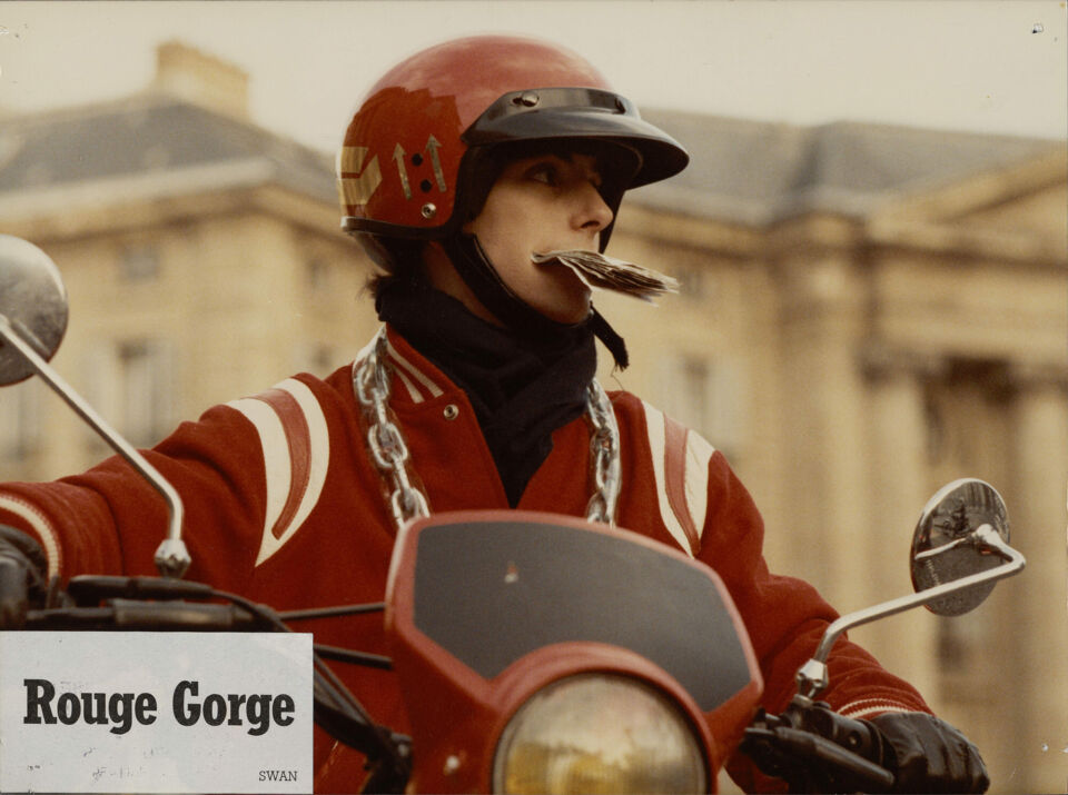 Rouge gorge 9