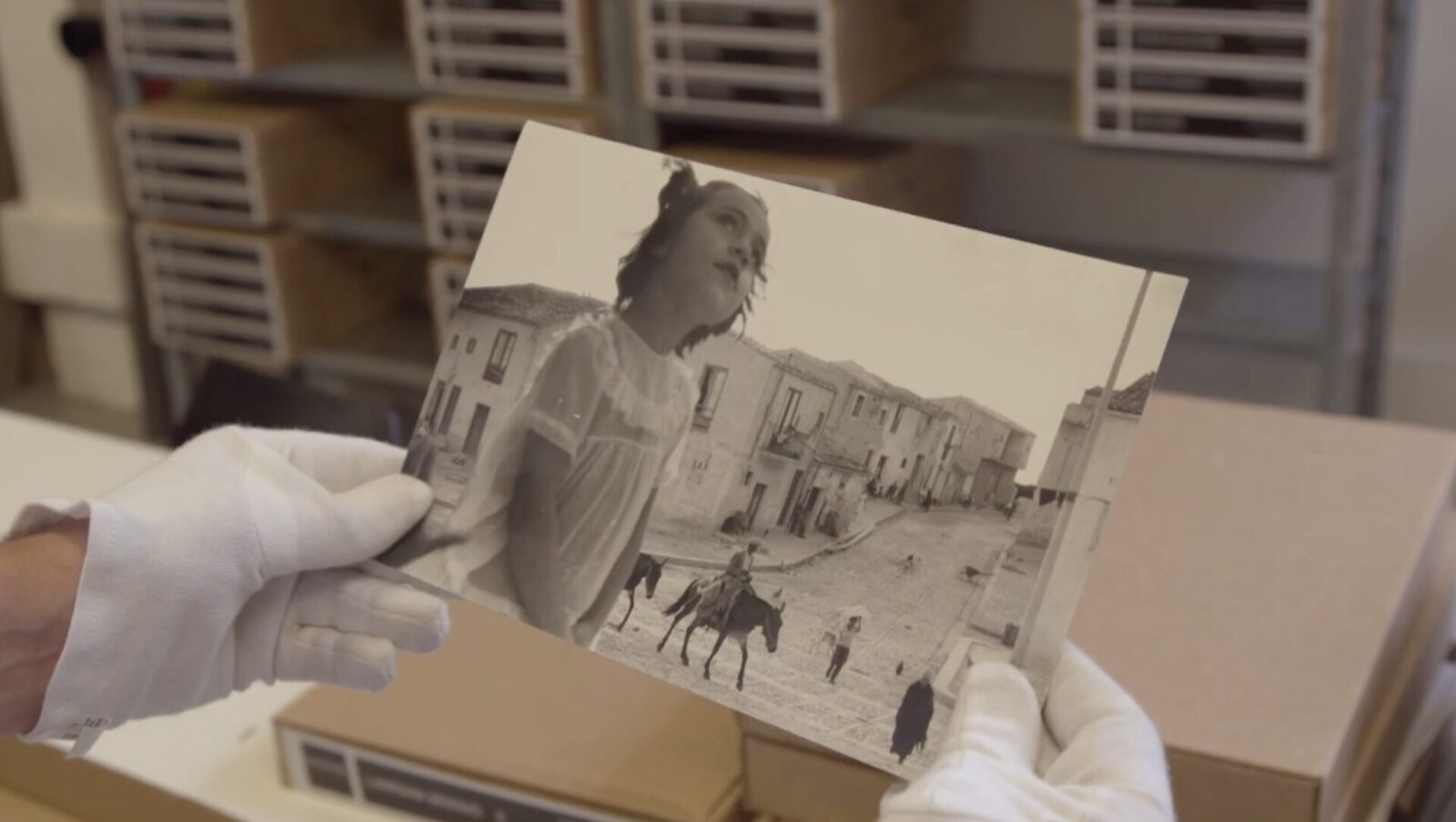Peliculas del pez Sergio Larrain 1