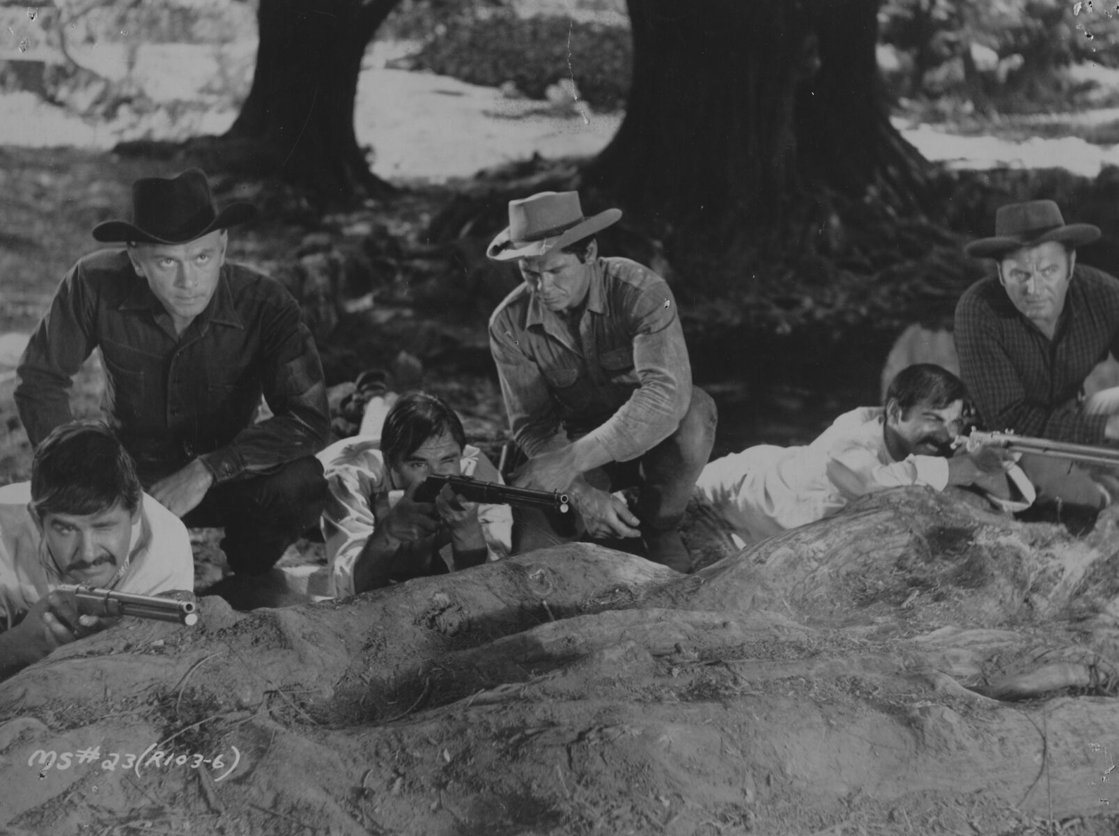 Magnificent seven the 8 Sturges