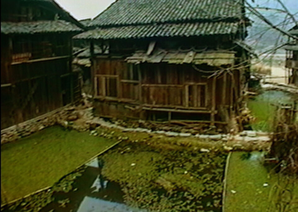 What About China ganlan houses green pond2cr