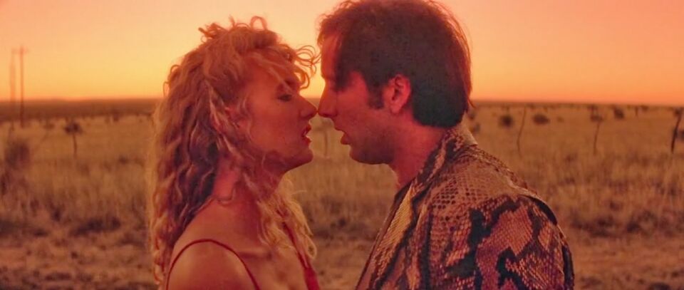 Wild at heart 2
